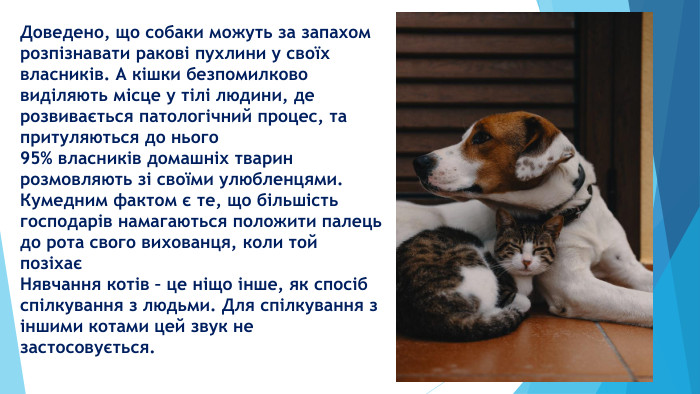 Доведено, що собаки можуть за запахом розпізнавати ракові пухлини у своїх власників. А кішки безпомилково виділяють місце у тілі людини, де розвивається патологічний процес, та притуляються до нього95% власників домашніх тварин розмовляють зі своїми улюбленцями. Кумедним фактом є те, що більшість господарів намагаються положити палець до рота свого вихованця, коли той позіхаєНявчання котів – це ніщо інше, як спосіб спілкування з людьми. Для спілкування з іншими котами цей звук не застосовується.