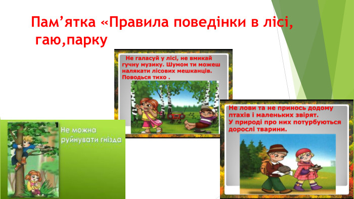Пам’ятка «Правила поведінки в лісі, гаю,парку 