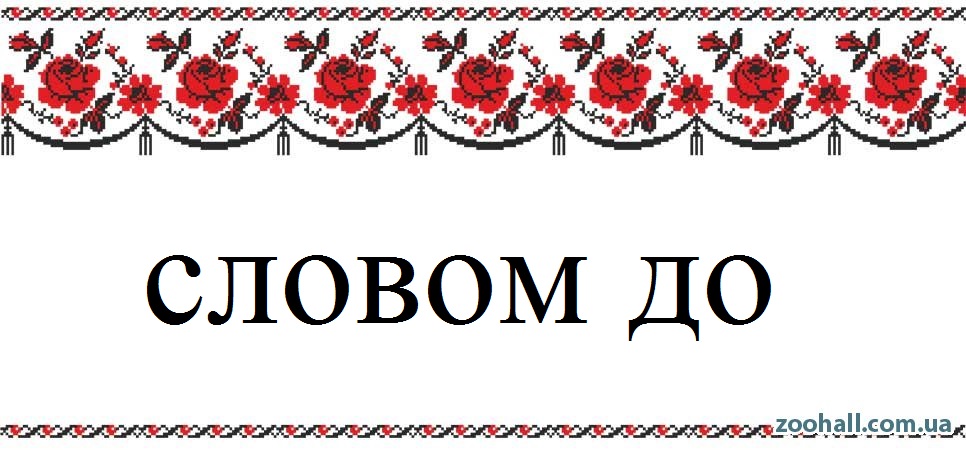 1340026547_ukrainskii-ornament-8 - копия.jpg