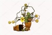 D:\Вище комерційне училище\2019-2020\Атестація\depositphotos_1278394-stock-photo-ikebana-and-berries-kivi.jpg