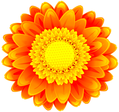 Orange_Flower_Clip_Art_PNG_Image-1162543394.png