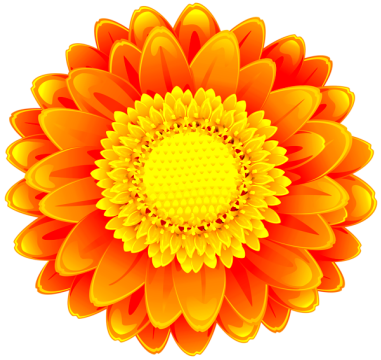 Orange_Flower_Clip_Art_PNG_Image-1162543394.png