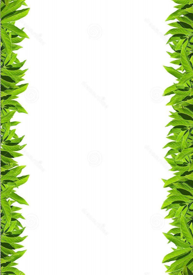 листья-рамки-зеленые-естественные-18418796.jpg