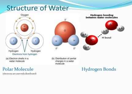 C:\Users\Admin\Desktop\Structure+of+Water+Polar+Molecule+Hydrogen+Bonds.jpg