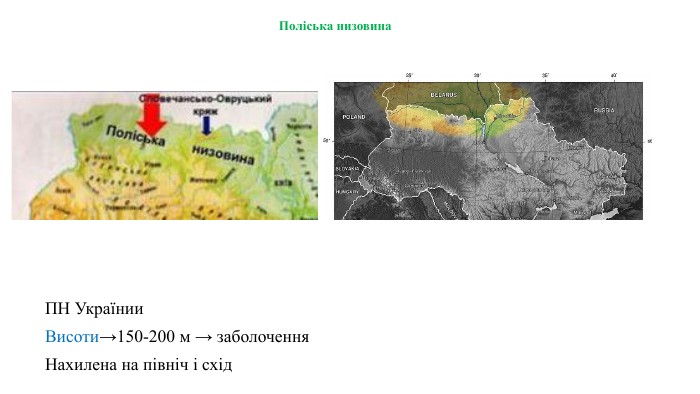 Поліська низовина ПН Українии. Висоти→150-200 м → заболочення. Нахилена на північ і схід