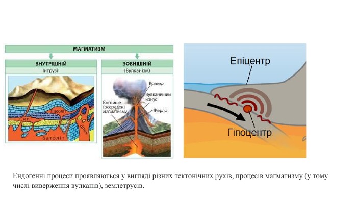 Ендогенні процеси проявляються у вигляді різних тектонічних рухів, процесів магматизму (у тому числі виверження вулканів), землетрусів.
