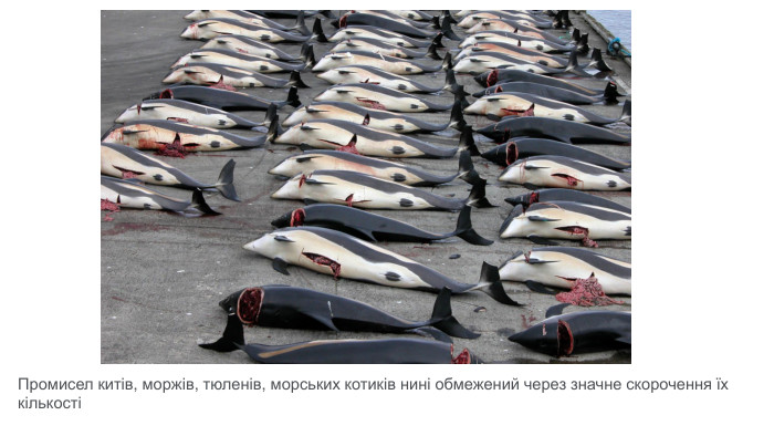 Промисел китів, моржів, тюленів, морських котиків нині обмежений через значне скорочення їх кількості