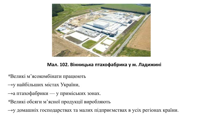 *Великі м’ясокомбінати працюють →у найбільших містах України, →а птахофабрики — у приміських зонах. *Великі обсяги м’ясної продукції виробляють →у домашніх господарствах та малих підприємствах в усіх регіонах країни. Мал. 102. Вінницька птахофабрика у м. Ладижині