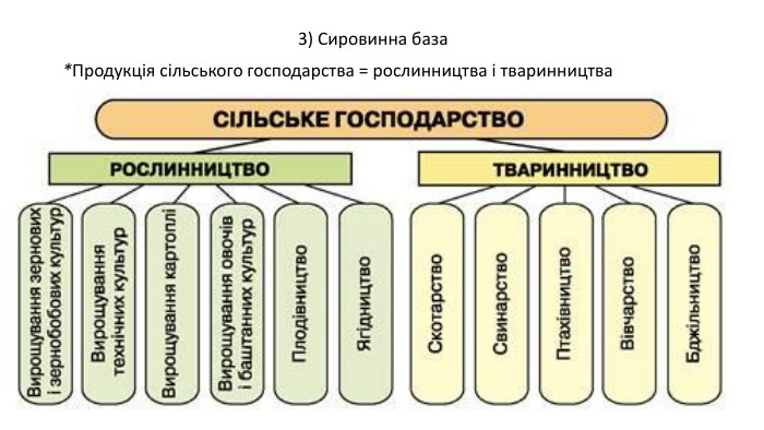  3) Сировинна база*Продукція сільського господарства = рослинництва і тваринництва