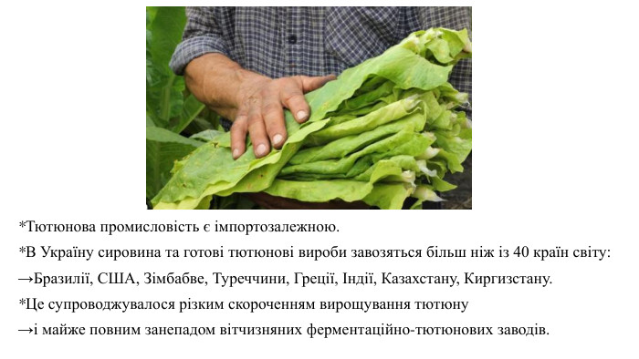  *Тютюнова промисловість є імпортозалежною. *В Україну сировина та готові тютюнові вироби завозяться більш ніж із 40 країн світу: →Бразилії, США, Зімбабве, Туреччини, Греції, Індії, Казахстану, Киргизстану. *Це супроводжувалося різким скороченням вирощування тютюну →і майже повним занепадом вітчизняних ферментаційно-тютюнових заводів.
