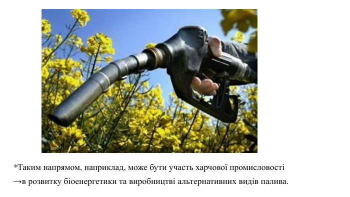 *Таким напрямом, наприклад, може бути участь харчової промисловості →в розвитку біоенергетики та виробництві альтернативних видів палива.