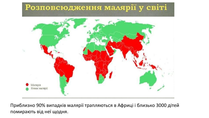 Приблизно 90% випадків малярії трапляються в Африці і близько 3000 дітей помирають від неї щодня.