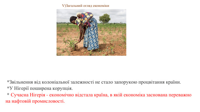  *Звільнення від колоніальної залежності не стало запорукою процвітання країни.  *У Нігерії поширена корупція.  * Сучасна Нігерія - економічно відстала країна, в якій економіка заснована переважно на нафтовій промисловості. V)Загальний огляд економіки 
