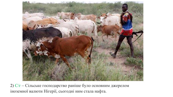 2) С/г – Сільське господарство раніше було основним джерелом іноземної валюти Нігерії, сьогодні ним стала нафта. 