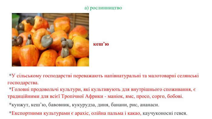   *У сільському господарстві переважають напівнатуральні та малотоварні селянські господарства. *Головні продовольчі культури, які культивують для внутрішнього споживання, є традиційними для всієї Тропічної Африки - маніок, ямс, просо, сорго, бобові.  *кунжут, кеш’ю, бавовник, кукурудза, диня, банани, рис, ананаси.  *Експортними культурами є арахіс, олійна пальма і какао, каучуконосні гевея. а) рослинництво кеш’ю