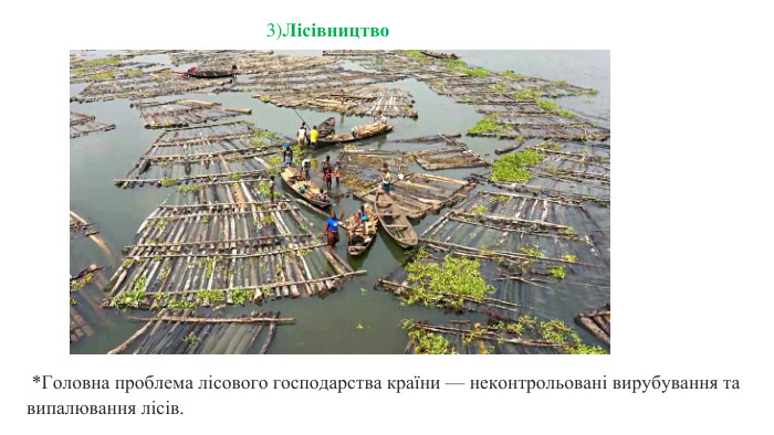  *Головна проблема лісового господарства країни — неконтрольовані вирубування та випалювання лісів.3)Лiсiвництво 