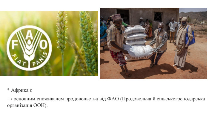 * Африка є → основним споживачем продовольства від ФАО (Продовольча й сільськогосподарська організація ООН). 