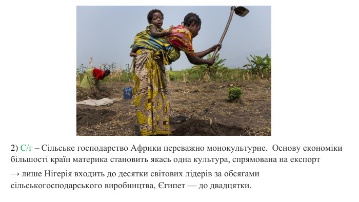 2) С/г – Сільське господарство Африки переважно монокультурне. Основу економіки більшості країн материка становить якась одна культура, спрямована на експорт→ лише Нігерія входить до десятки світових лідерів за обсягами сільськогосподарського виробництва, Єгипет — до двадцятки.