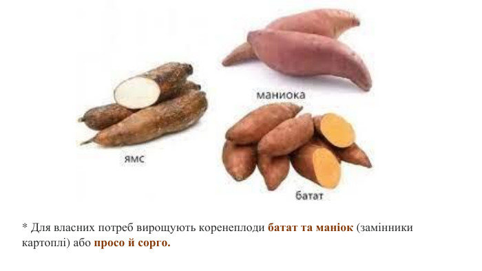 * Для власних потреб вирощують коренеплоди батат та маніок (замінники картоплі) або просо й сорго.