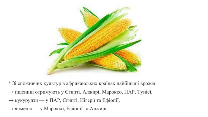* Зі споживчих культур в африканських країнах найбільші врожаї→ пшениці отримують у Єгипті, Алжирі, Марокко, ПАР, Тунісі, → кукурудзи — у ПАР, Єгипті, Нігерії та Ефіопії, → ячменю — у Марокко, Ефіопії та Алжирі.