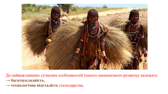 До найважливіших сучасних особливостей їхнього економічного розвитку належать: → багатоукладність, → технологічна відсталість господарства, 