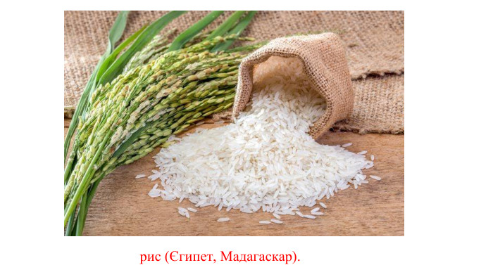 рис (Єгипет, Мадагаскар). 
