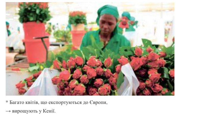 * Багато квітів, що експортуються до Європи, → вирощують у Кенії.