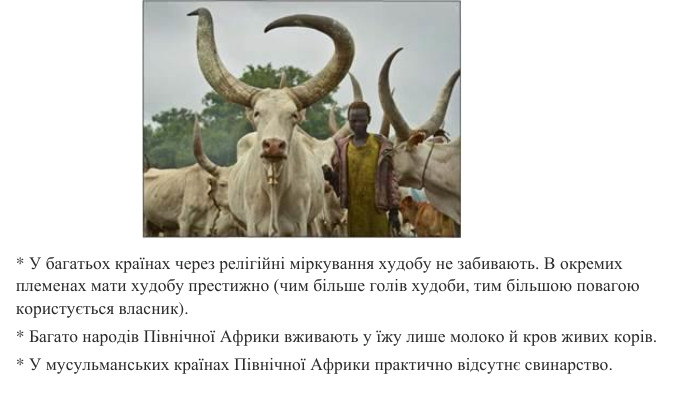  * У багатьох країнах через релігійні міркування худобу не забивають. В окремих племенах мати худобу престижно (чим більше голів худоби, тим більшою повагою користується власник). * Багато народів Північної Африки вживають у їжу лише молоко й кров живих корів. * У мусульманських країнах Північної Африки практично відсутнє свинарство.