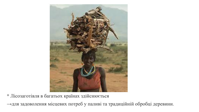* Лісозаготівля в багатьох країнах здійснюється →для задоволення місцевих потреб у паливі та традиційній обробці деревини. 