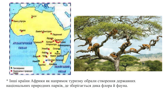 * Інші країни Африки як напрямок туризму обрали створення державних національних природних парків, де зберігається дика флора й фауна.