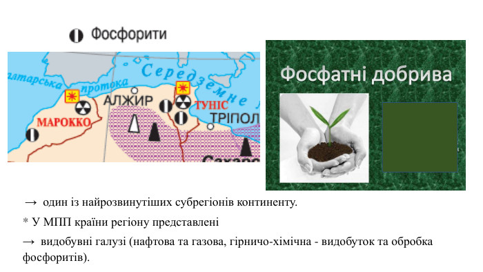  → один із найрозвинутіших субрегіонів континенту. * У МПП країни регіону представлені → видобувні галузі (нафтова та газова, гірничо-хімічна - видобуток та обробка фосфоритів). 