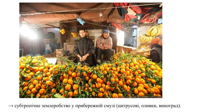 → субтропічне землеробство у прибережній смузі (цитрусові, оливки, виноград). 