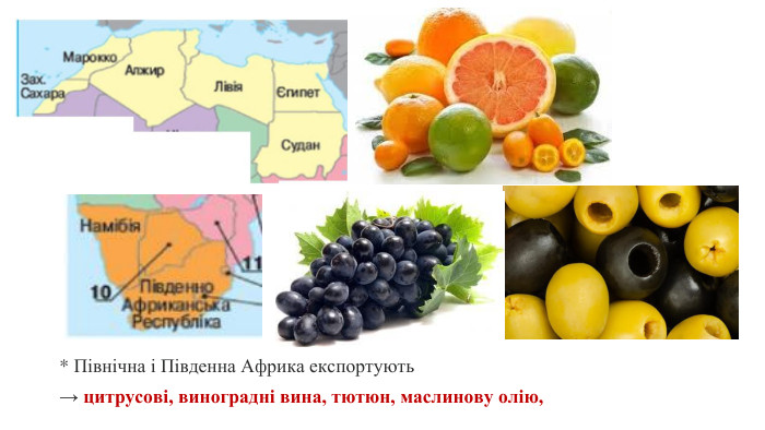 * Північна і Південна Африка експортують → цитрусові, виноградні вина, тютюн, маслинову олію, 