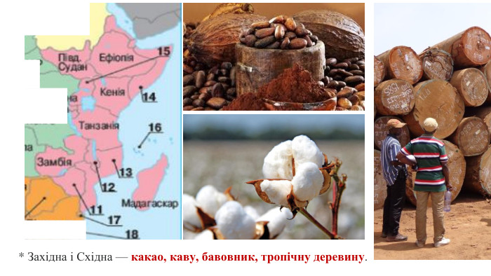 * Західна і Східна — какао, каву, бавовник, тропічну деревину. 