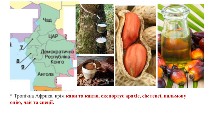 * Тропічна Африка, крім кави та какао, експортує арахіс, сік гевеї, пальмову олію, чай та спеції.
