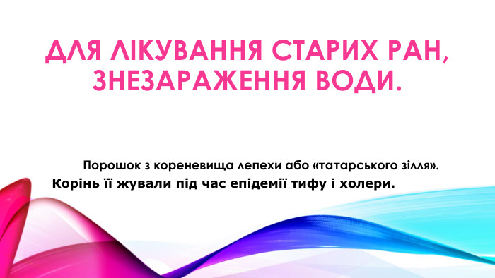 Для лікування старих ран, знезараження води. Порошок з кореневища лепехи або «татарського зілля». Корінь її жували під час епідемії тифу і холери.