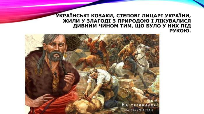 Українські козаки, степові лицарі України, жили у злагоді з природою і лікувалися дивним чином тим, що було у них під рукою.