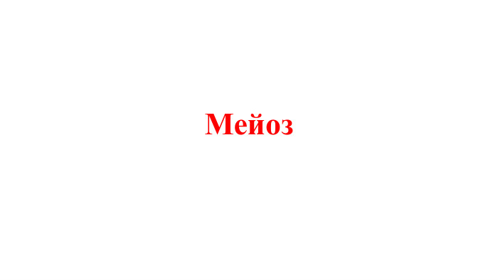 Мейоз