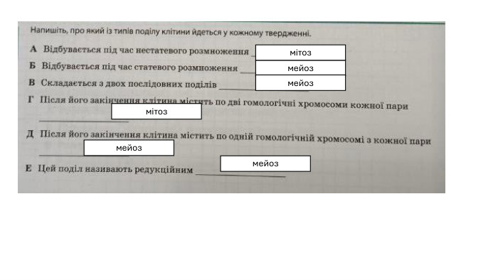 мітозмейозмейозмітозмейозмейоз