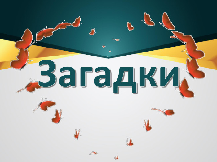 Загадки