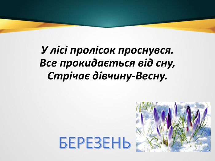У лісі пролісок проснувся. Все прокидається від сну,Стрічає дівчину-Весну. БЕРЕЗЕНЬ