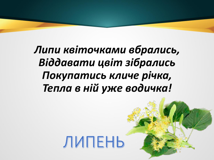 Липи квіточками вбрались,Віддавати цвіт зібрались. Покупатись кличе річка,Тепла в ній уже водичка!ЛИПЕНЬ