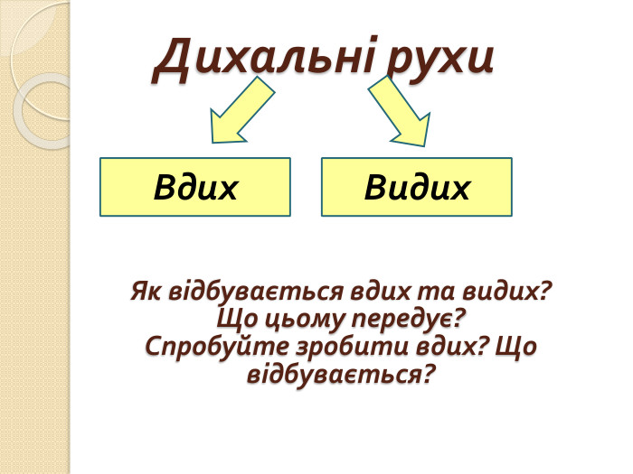 Дихальні рухи. Вдих. Видих. Як відбувається вдих та видих? Що цьому передує?Спробуйте зробити вдих? Що відбувається?