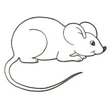 Розмальовка Симпатична мишка | Розмальовки для дітей друк онлайн