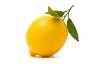 ᐈ Лимон рисунок рисунки, фото лимон | скачать на Depositphotos®