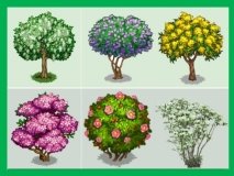 Дидактические игры по экологии для дошкольников на тему: «Деревья и  кустарники»