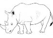 Як намалювати носорога олівцем поетапно – Головна