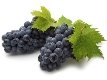 Рекордні врожаї винограду в Західній Україні