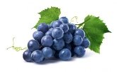 ᐈ Виноград фотографии, фото винограда | скачать на Depositphotos®