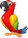 ᐈ Нарисованные попугаи фото, векторные картинки попугай | скачать на  Depositphotos®